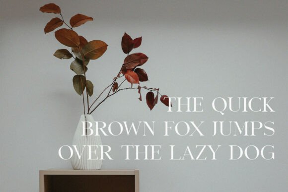 Benfika: A Modern Serif Font That Elevates Campaign Visuals