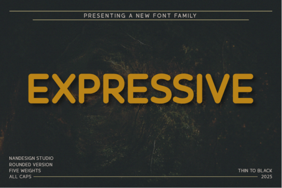 Expressive Rounded: A Warm, Modern Sans Serif for Digital Brands