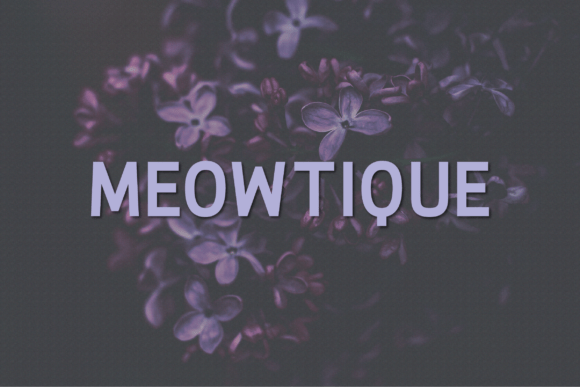 Meowtique: A Modern Sans Serif Typeface for Handmade Makers