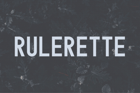 Rulerette: A Bold, Clean Sans Serif Font for Small Business Branding